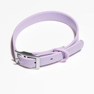 NWT Wild One Dog Collar -